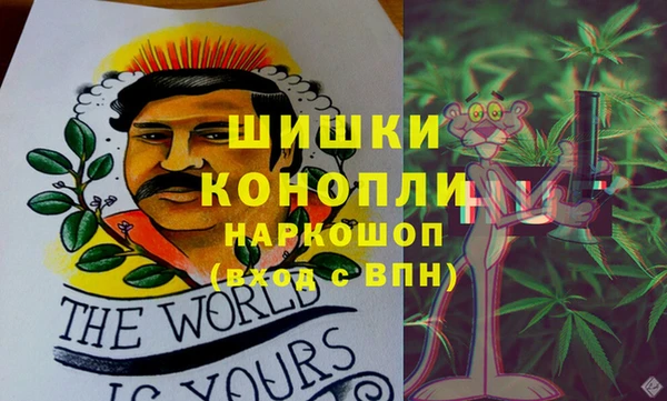 метадон Зеленодольск