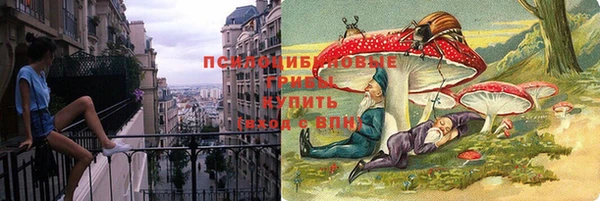 мяу мяу мука Зеленокумск
